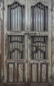 Wooden Door AN20